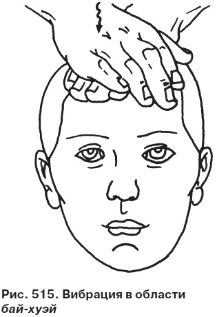 Иллюстрация к книге — Целительные точки от всех болезней в пошаговых схемах [i_516.jpg]