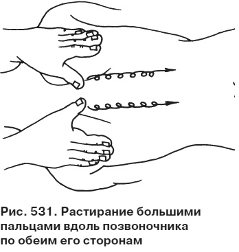 Иллюстрация к книге — Целительные точки от всех болезней в пошаговых схемах [i_532.jpg]