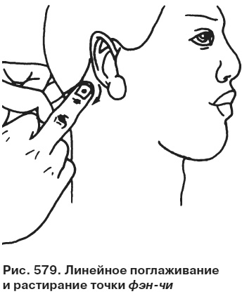 Иллюстрация к книге — Целительные точки от всех болезней в пошаговых схемах [i_580.jpg]