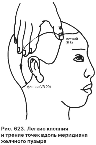 Иллюстрация к книге — Целительные точки от всех болезней в пошаговых схемах [i_624.jpg]