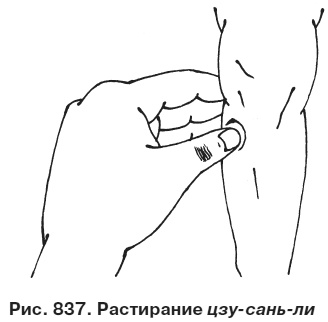 Иллюстрация к книге — Целительные точки от всех болезней в пошаговых схемах [i_838.jpg]