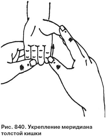 Иллюстрация к книге — Целительные точки от всех болезней в пошаговых схемах [i_841.jpg]