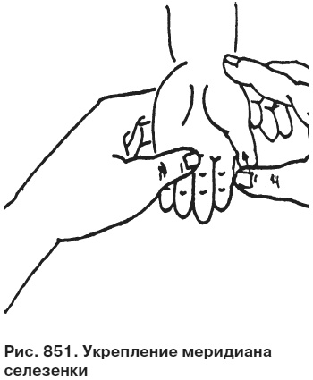 Иллюстрация к книге — Целительные точки от всех болезней в пошаговых схемах [i_852.jpg]