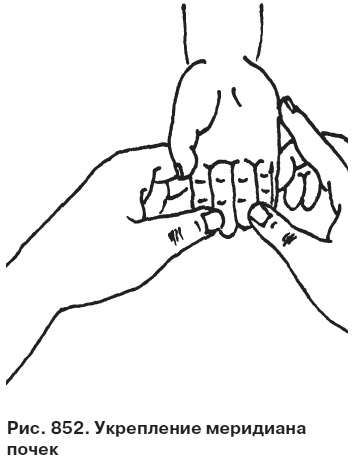 Иллюстрация к книге — Целительные точки от всех болезней в пошаговых схемах [i_853.jpg]