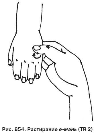 Иллюстрация к книге — Целительные точки от всех болезней в пошаговых схемах [i_855.jpg]