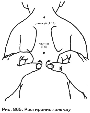 Иллюстрация к книге — Целительные точки от всех болезней в пошаговых схемах [i_866.jpg]