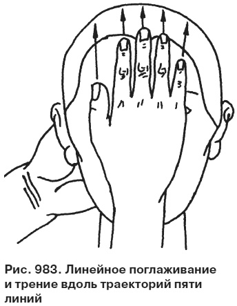 Иллюстрация к книге — Целительные точки от всех болезней в пошаговых схемах [i_984.jpg]