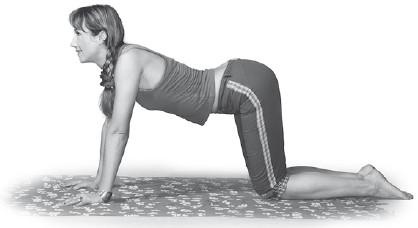 Иллюстрация к книге — Лечебная гимнастика для позвоночника [i_055.jpg]