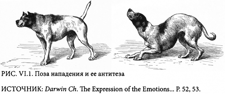 Иллюстрация к книге — Страсти в нашем разуме. Стратегическая роль эмоций [i_012.jpg]