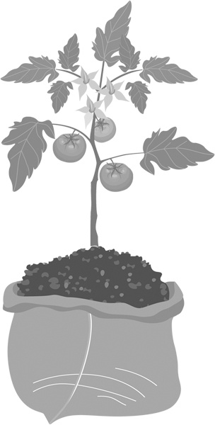 Иллюстрация к книге — Теплицы без ошибок. С чего начать и как эффективно использовать [i_005.jpg]