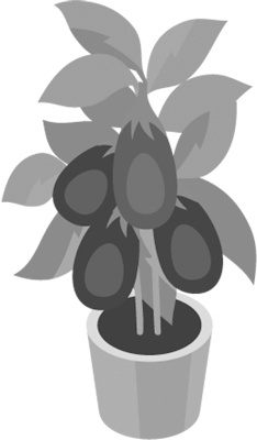 Иллюстрация к книге — Теплицы без ошибок. С чего начать и как эффективно использовать [i_009.jpg]