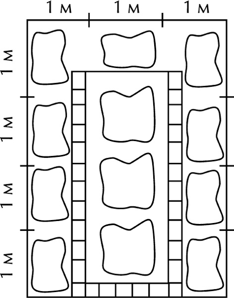 Иллюстрация к книге — Теплицы без ошибок. С чего начать и как эффективно использовать [i_015.jpg]