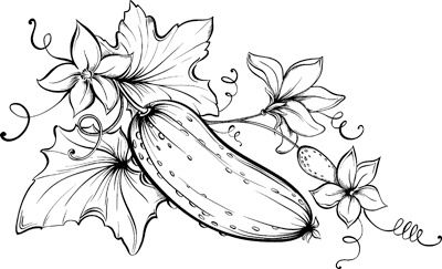 Иллюстрация к книге — Теплицы без ошибок. С чего начать и как эффективно использовать [i_022.jpg]