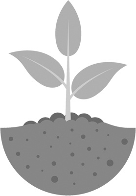 Иллюстрация к книге — Теплицы без ошибок. С чего начать и как эффективно использовать [i_028.jpg]