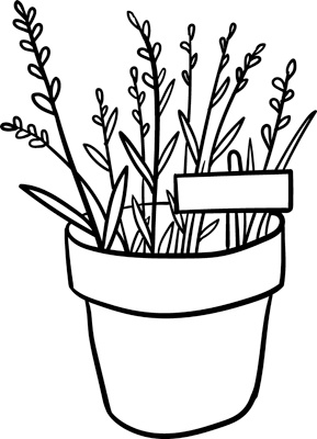 Иллюстрация к книге — Теплицы без ошибок. С чего начать и как эффективно использовать [i_030.jpg]