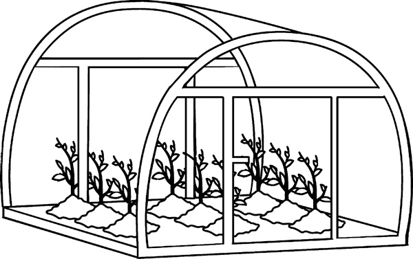 Иллюстрация к книге — Теплицы без ошибок. С чего начать и как эффективно использовать [i_032.jpg]