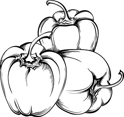 Иллюстрация к книге — Теплицы без ошибок. С чего начать и как эффективно использовать [i_034.jpg]