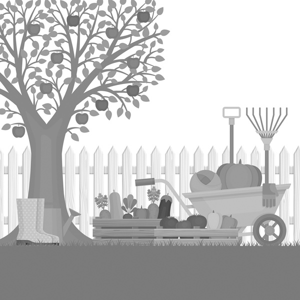 Иллюстрация к книге — Теплицы без ошибок. С чего начать и как эффективно использовать [i_044.jpg]