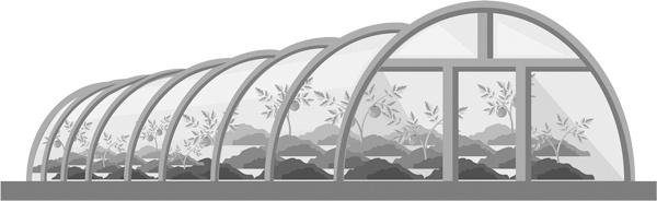 Иллюстрация к книге — Теплицы без ошибок. С чего начать и как эффективно использовать [i_045.jpg]