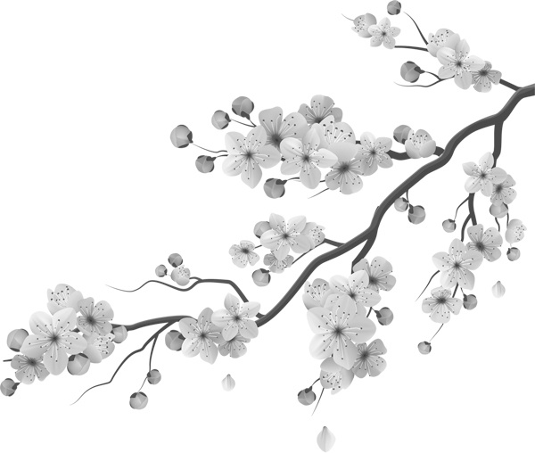 Иллюстрация к книге — Теплицы без ошибок. С чего начать и как эффективно использовать [i_047.jpg]