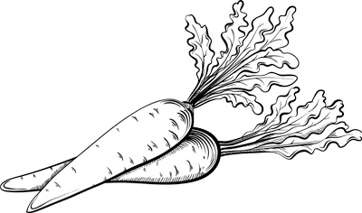 Иллюстрация к книге — Теплицы без ошибок. С чего начать и как эффективно использовать [i_055.jpg]