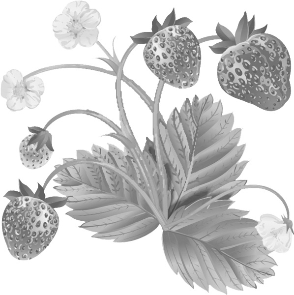 Иллюстрация к книге — Теплицы без ошибок. С чего начать и как эффективно использовать [i_060.jpg]