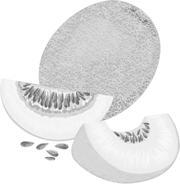 Иллюстрация к книге — Теплицы без ошибок. С чего начать и как эффективно использовать [i_068.jpg]