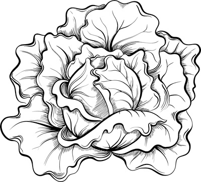 Иллюстрация к книге — Теплицы без ошибок. С чего начать и как эффективно использовать [i_070.jpg]