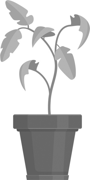 Иллюстрация к книге — Теплицы без ошибок. С чего начать и как эффективно использовать [i_073.jpg]