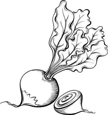 Иллюстрация к книге — Теплицы без ошибок. С чего начать и как эффективно использовать [i_079.jpg]