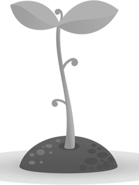 Иллюстрация к книге — Теплицы без ошибок. С чего начать и как эффективно использовать [i_082.jpg]