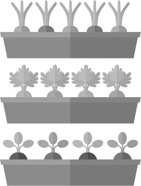 Иллюстрация к книге — Теплицы без ошибок. С чего начать и как эффективно использовать [i_083.jpg]