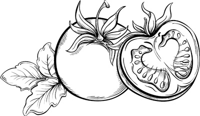 Иллюстрация к книге — Теплицы без ошибок. С чего начать и как эффективно использовать [i_095.jpg]