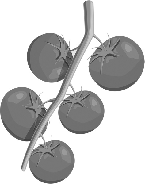 Иллюстрация к книге — Теплицы без ошибок. С чего начать и как эффективно использовать [i_097.jpg]