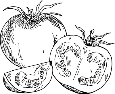 Иллюстрация к книге — Теплицы без ошибок. С чего начать и как эффективно использовать [i_100.jpg]