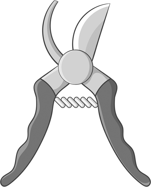 Иллюстрация к книге — Теплицы без ошибок. С чего начать и как эффективно использовать [i_104.jpg]