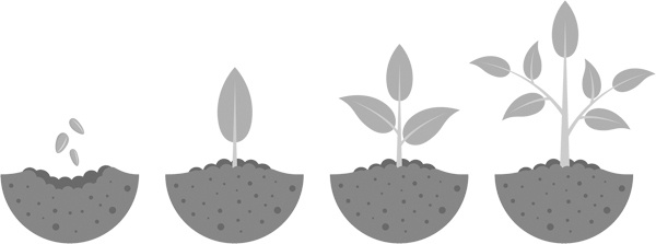 Иллюстрация к книге — Теплицы без ошибок. С чего начать и как эффективно использовать [i_105.jpg]