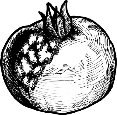 Иллюстрация к книге — Теплицы без ошибок. С чего начать и как эффективно использовать [i_120.jpg]