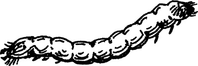 Иллюстрация к книге — Теплицы без ошибок. С чего начать и как эффективно использовать [i_130.jpg]