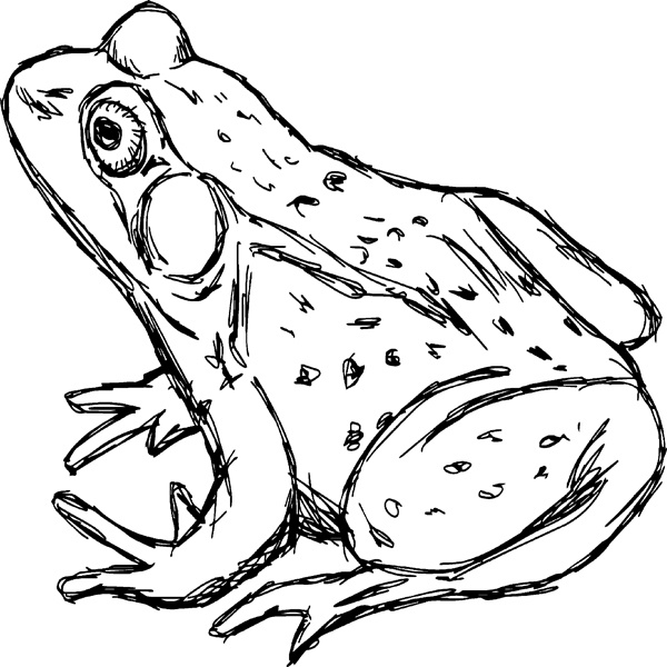 Иллюстрация к книге — Теплицы без ошибок. С чего начать и как эффективно использовать [i_136.jpg]