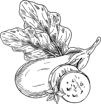 Иллюстрация к книге — Теплицы без ошибок. С чего начать и как эффективно использовать [i_139.jpg]