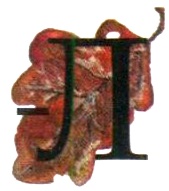 Иллюстрация к книге — Бусина карманного карлика [i_007.jpg]