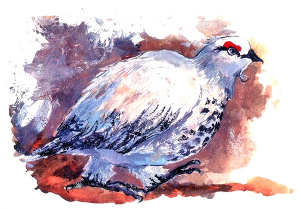 Иллюстрация к книге — Бусина карманного карлика [i_009.jpg]