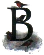 Иллюстрация к книге — Бусина карманного карлика [i_013.jpg]