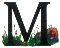 Иллюстрация к книге — Бусина карманного карлика [i_029.jpg]