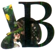 Иллюстрация к книге — Бусина карманного карлика [i_038.jpg]