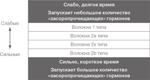 Иллюстрация к книге — Дело не в калориях. Как не зависеть от диет, не изнурять себя фитнесом, быть в отличной форме и жить лучше [i_070.jpg]