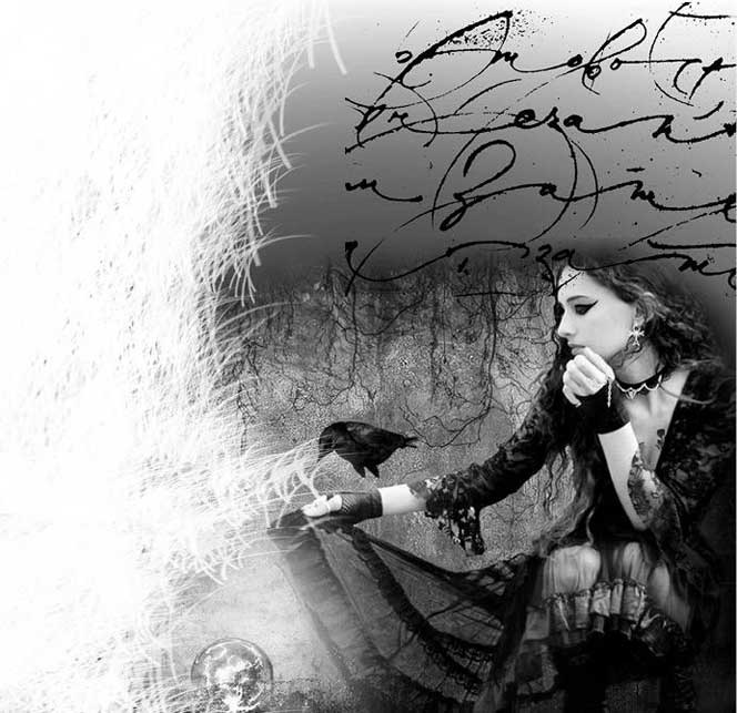 Иллюстрация к книге — Викканская магия. Настольная книга современной ведьмы [i_002.jpg]