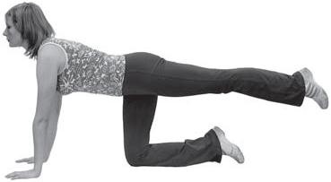 Иллюстрация к книге — 10 шагов к идеальному прессу [i_011.jpg]