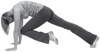 Иллюстрация к книге — 10 шагов к идеальному прессу [i_013.jpg]